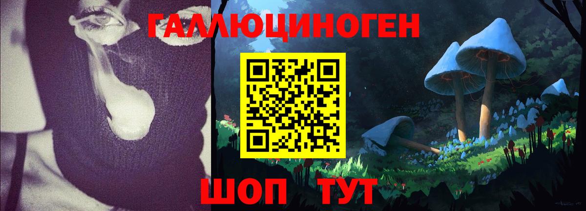 наркота  Вход с VPN  Светлоград  Псилоцибиновые грибы мицелий 